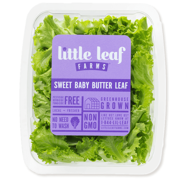 Little Leaf Farms Sweet Baby Butter Leaf