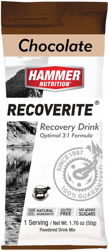 Hammer Nutrition Recoverite Chocolate Recovery Drink