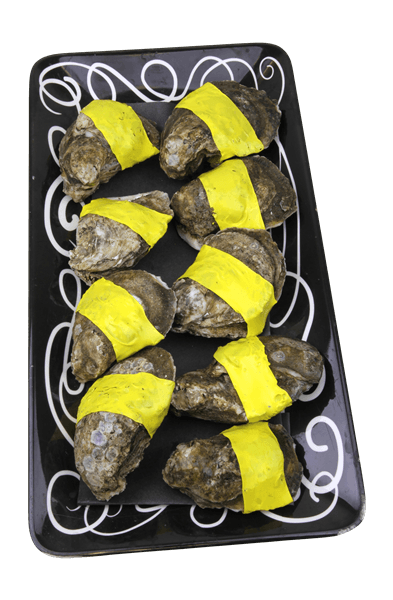 Fresh Dry Natural U-. Scallops