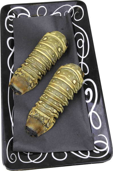 Spiny Lobster Tail