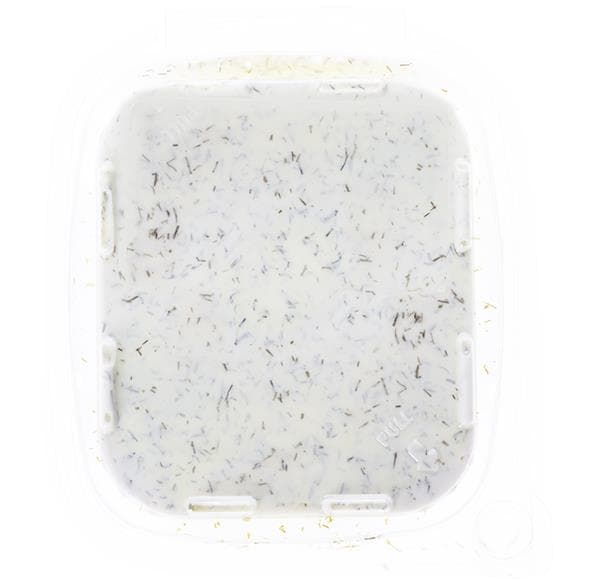 Our Own Creamy Italian Sausage Pasta