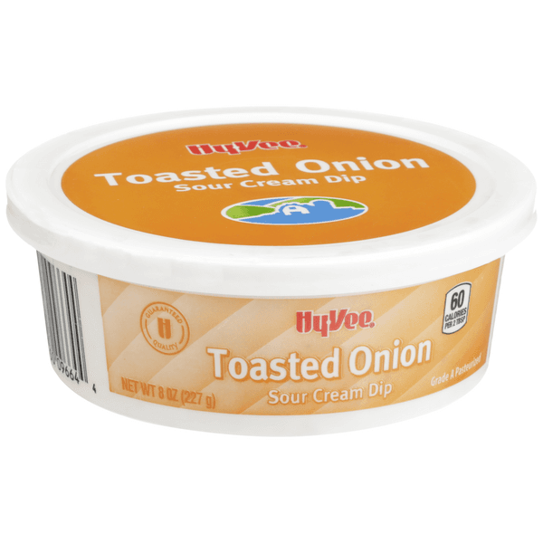 Hy-Vee Toasted Onion Sour Cream Dip