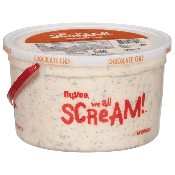 Hy-Vee We All Scream! Chocolate Chip Ice Cream