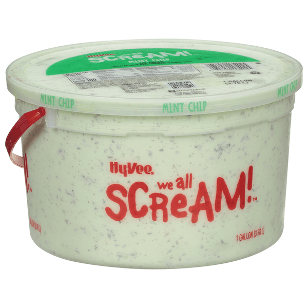 Hy-Vee We All Scream! Mint Chip Ice Cream