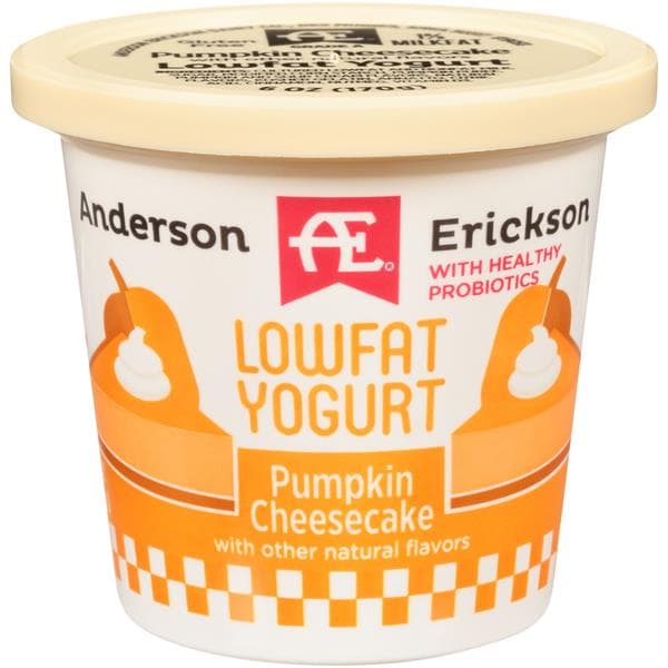 Anderson Erickson Dairy Lowfat Pumpkin Cheesecake Yogurt