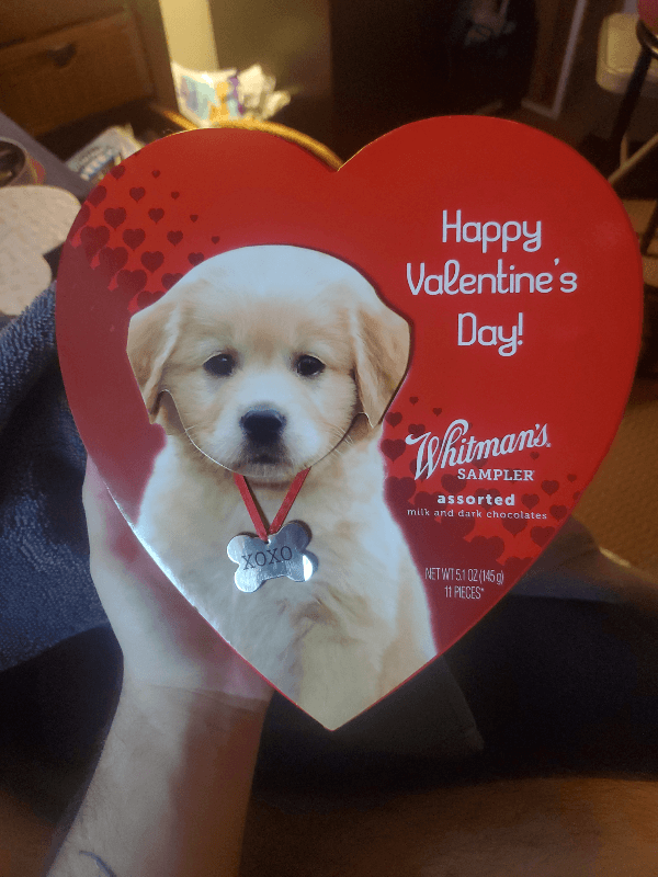 Whitman'S Milk & Dark Chocolates, Assorted, Happy Valentine'S Day