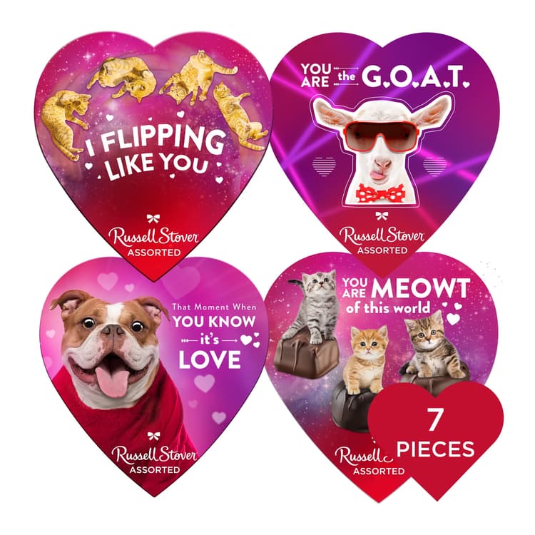 Russell Stover Valentine'S Day Pet Meme Heart Assorted Milk & Dark Chocolate Gift Box