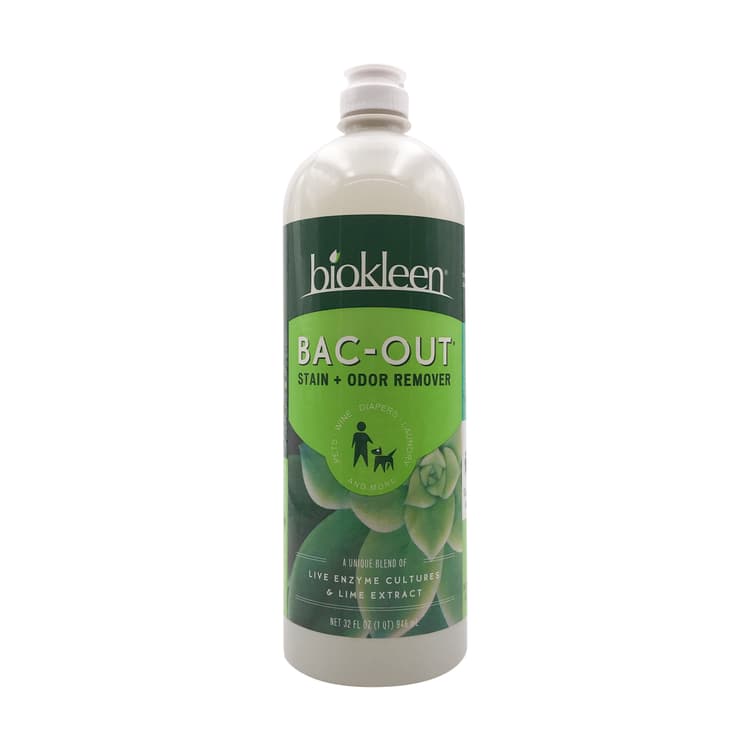 Bac Out Stain And Odor Eliminator
