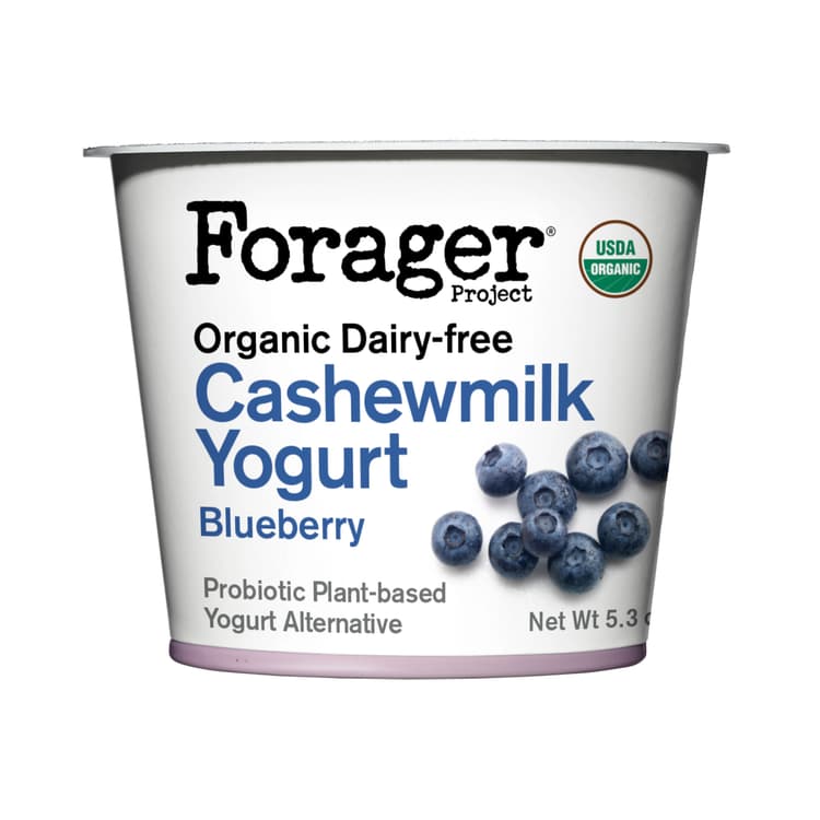 Organic Dairy-Free Blueberry Cashewmilk Yogurt