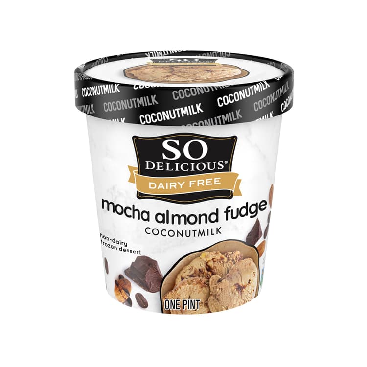 Mocha Almond Fudge Coconut Milk Dessert