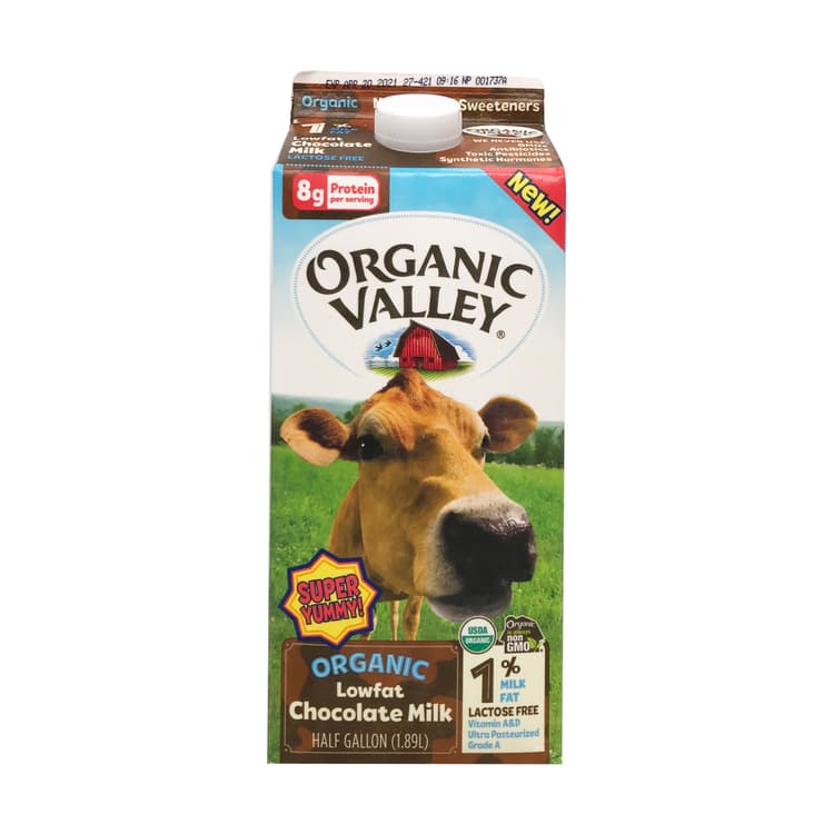 Organic Low Fat Chocolate Milk