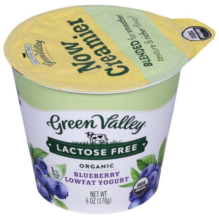 Green Valley Creamery Lactose Free Low Fat Blueberry Yogurt. - Low Fodmap Certified