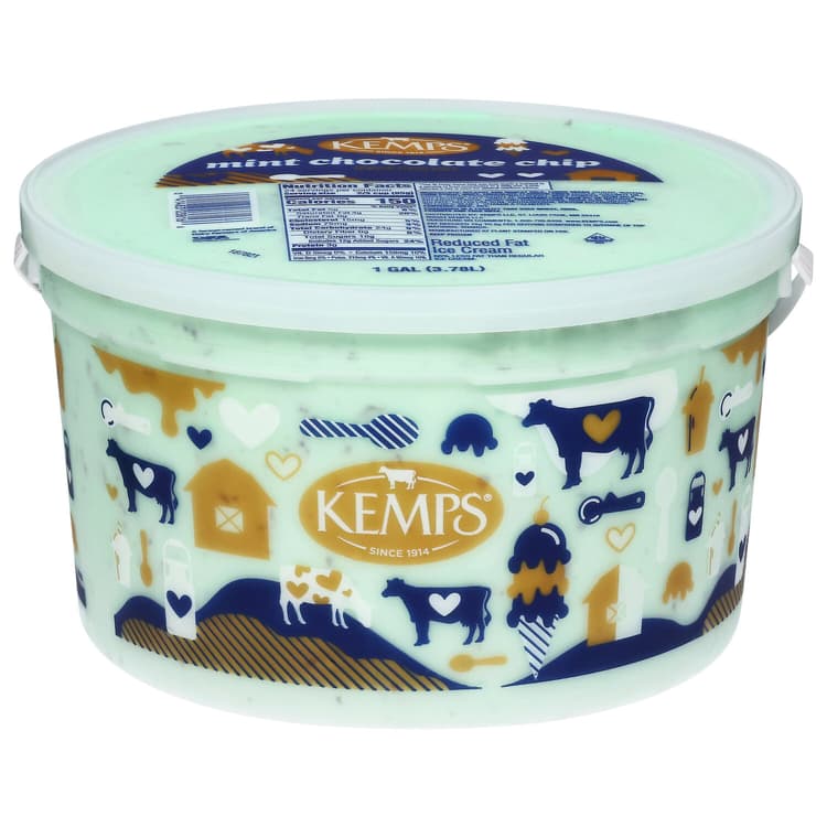Kemps Family Size Mint Chocolate Chip Reduced Fat Ice Cream