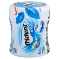 Trident Fresh Peppermint Cool Sugar Free Gum Go