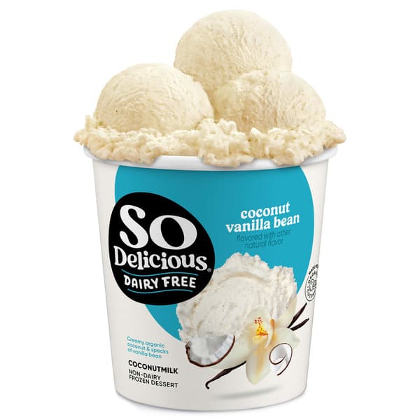 Is it Candida Diet Friendly? So Delicious Dairy Free Vanilla Bean Coconutmilk Dessert