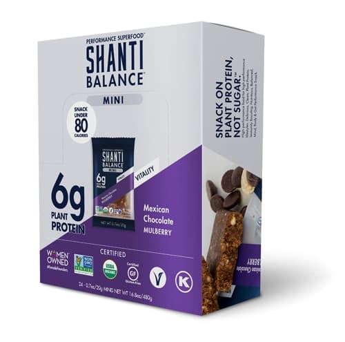 Shanti Bar Mini Protein Bar Mexican Chocolate Mulberry