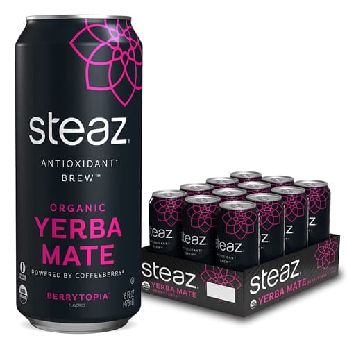 Steaz Green Tea Soda Antioxidant Brew Organic Yerba Mate Berrytopia