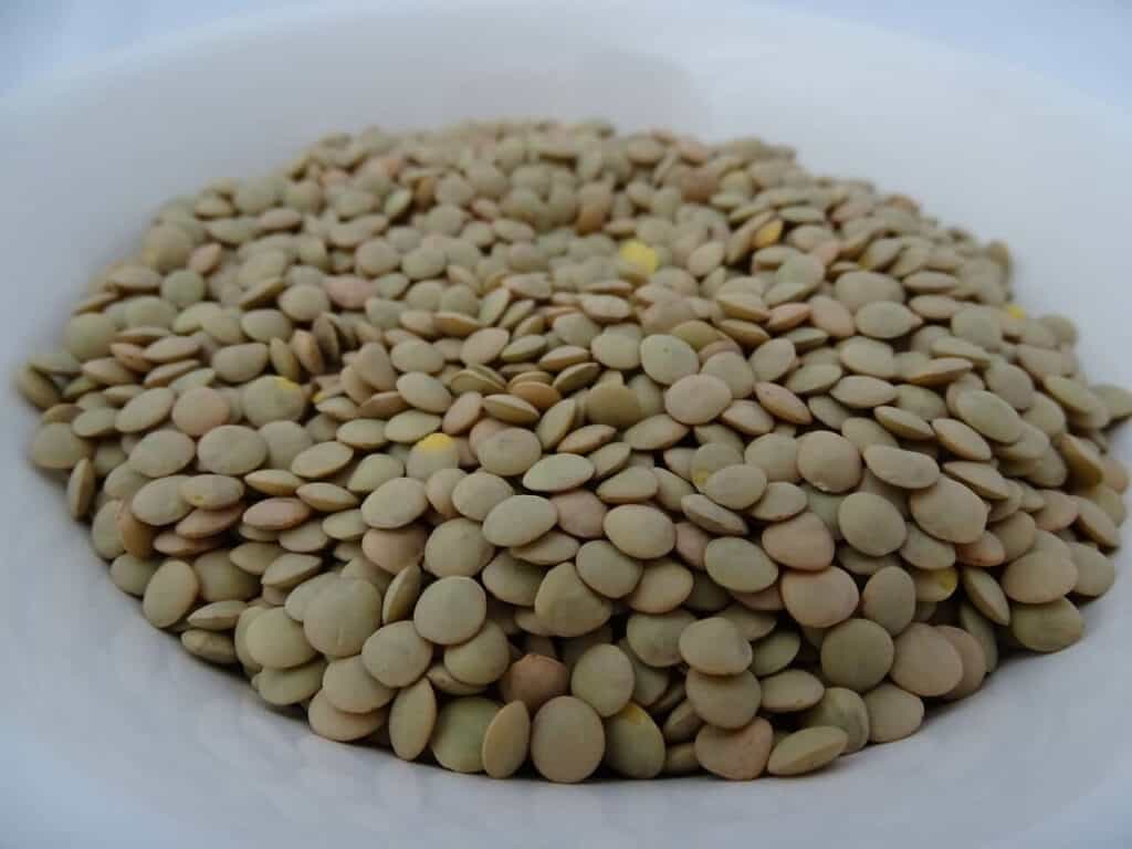 lentils fodmap