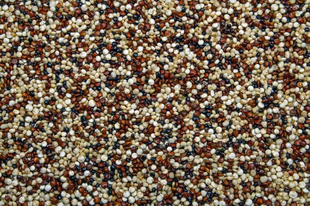 quinoa fodmap